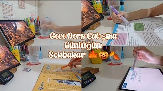 Gece Ders Çalışma Günlüğüm  Sonbahar 🍂🎃🍁  Sessiz Vlog 🤍 [upl. by Azalea435]