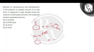 Reaction of cyclohexanone with dimethylamine in the presence of catalytic amount of an acid form [upl. by Hufnagel]