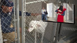 He spent Thanksgiving in a dog kennel to help rural animal shelters CBS 6 thanked him [upl. by Aihsinat]