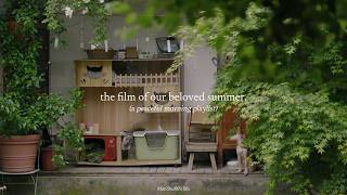 the film of our beloved summer — a peaceful morning playlist [upl. by Kaehpos458]