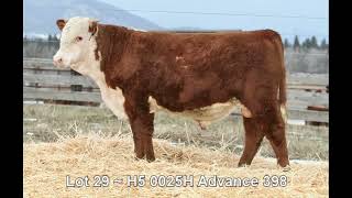 Lot 29  H5 0025H Advance 398 [upl. by Arraet]