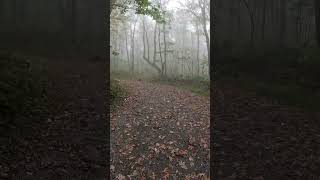 Hiking Moses Cone Firetower trail asmroutdoors asmr asmrvideo hiking dayhike mosescone [upl. by Clayborn475]