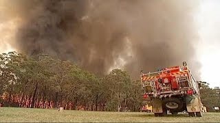 Buschfeuer Australien rechnet mit dem Schlimmsten [upl. by Anneiv]