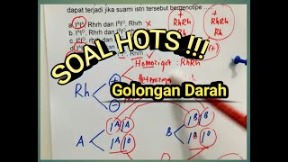 Soal Golongan darah ABO vs Rhesus HOTS Kelas 12 [upl. by Nicolea555]