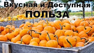 Тыква Невероятно Полезный Плод Осени [upl. by Olav]