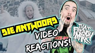 Die Antwoord  Baita Jou Sabela VIDEO REACTIONS [upl. by Nnylhtak598]