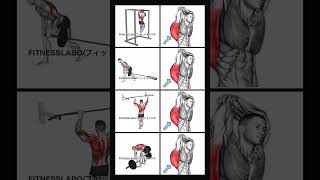 Exercise to get a wider fitnessgymexerciseworkoutfitnessmotivationworkoutvideosgymmotivation [upl. by Isac845]