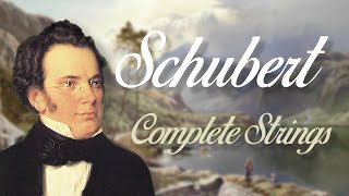 Schubert Complete String Quartets [upl. by Anesuza]