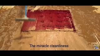 scraping carpet cleaningasmr satisfying cleaningcarpet [upl. by Ferree]