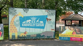 Knowsley Safari Park 2023  England 2023 [upl. by Mcneil]