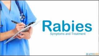 Rabies Symptoms and Treatment [upl. by Nywnorb185]