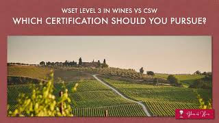 Certified Specialist of Wines CSW vs WSET Level 3 Certification Compared [upl. by Aidole]