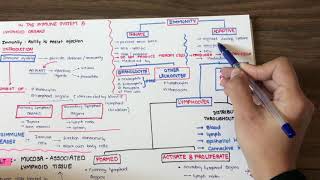 Introduction To Immune System In Hindi From Junqueira [upl. by Garretson600]