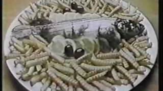 Ore Ida French Fries Commercial 1981 [upl. by Maggi]