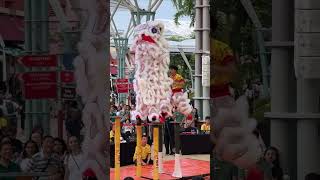 新加坡新城龍獅學院  Kweichow Moutai Cup Singapore Lion Dance Championship 2024 年 ‘贵州茅台杯’新加坡舞狮争霸赛 [upl. by Matronna]