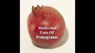 Medicinal Uses Of Pomegranate [upl. by Smoot619]