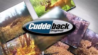 Cuddelink May 2017 TV Ad [upl. by Abita280]