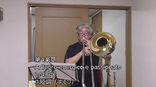 ブラームス交響曲第４のバストロンボーンの現実コントラバス編 [upl. by Bobette]