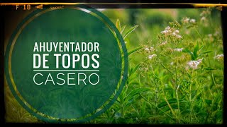 AHUYENTADOR de TOPOS casero 🤪 Si tienes problemas con ellos mira este vídeo 🥷 Y sin hacerles daño 🌱 [upl. by Selrahcnhoj]