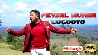 FEYSAL MUNIIR  LUGOOYO  OFFICIAL MUSIC VIDEO  BY Y3A PRODUCTIONS [upl. by Woodall]