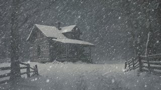 Cold Blizzard  SnowStorm  Winter  Nature Sounds for Sleep Study amp Relaxation [upl. by Alden]