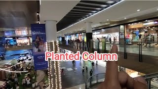 Planted Column  Learnings DAILY [upl. by Reni18]