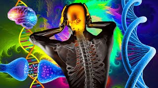 Scientists CANT Explain Why This Audio HEALS People  Alpha Waves Heals the Whole Body  528Hz 2 [upl. by Marlen]