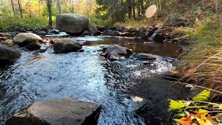 Adirondacks 066 TimeLapse South Brook Wilcox Lake New York [upl. by Narmak331]