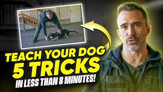 Learn to Teach Your Dog 5 Command in Less Than 8 Minutes [upl. by Anglim]