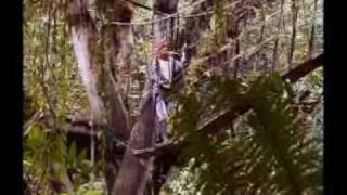 Shamans of the Amazon Documentary Ayahuasca Terence Mckenna Oil Industrie 2002 [upl. by Enirehtak]