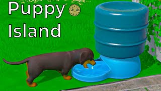 New Puppy Island Shopping  Dogs  And Area [upl. by Errol17]