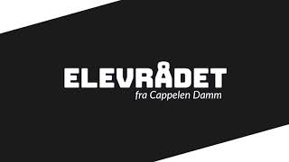 Elevrådet Språk i endring [upl. by Eillek]