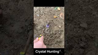 I found some purple stones while digging by the seacrystals crystalstonecrystalhunting [upl. by Anawqahs995]