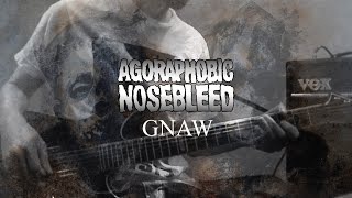 Agoraphobic Nosebleed  Gnaw Guitar Cover [upl. by Nnaeus91]