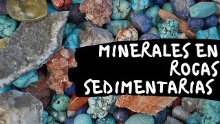 🌎 MINERALES en ROCAS SEDIMENTARIAS 😃⚒⛏ Componentes de las Rocas Sedimentarias 🗺🧭 [upl. by Nnylyram]