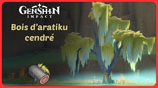 Bois d’aratiku cendré  Route de farm  Genshin Impact [upl. by Zakarias]