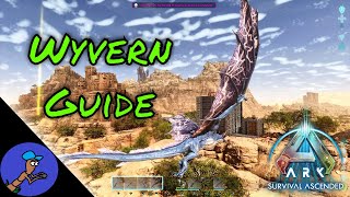 How to Tame a Wyvern in ARK Survival Ascended Scorched Earth [upl. by Anual626]