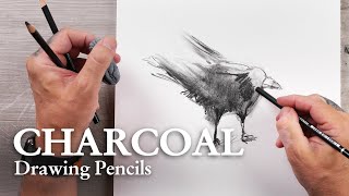 CRETACOLOR  CHARCOAL  Fine Art Charcoal Pencils  CROW [upl. by Margaret]