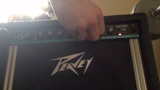 Peavey Envoy 110 [upl. by Alba]