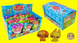 Crystal Babies Surprise Baby Pets Blind Bags Box Unboxing  Cookieswirlc Videos [upl. by Nivrem]