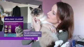 Mit Katze umziehen Caroline berichtet von ihren Erfahrungen mit FELIWAY CLASSIC [upl. by Nordna862]