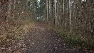 Stille Orte in Würzburg  Erlabrunn [upl. by Fayette429]