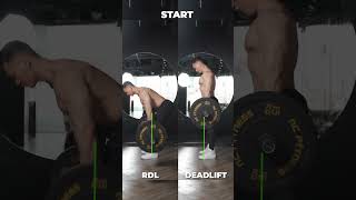 Deadlift vs RDL Đăng ký kênh để nhận video tip tập hiểu quả mỗi ngày nhé💪🏿 gym anhsonnfitness [upl. by Anilrahc263]