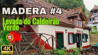 Madera cz4 szlak PR 9 Levada do Caldeirão Verde Parque Florestal das Queimadas 4K [upl. by Airbmak]