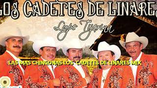 LOS CADETES DE LINARES MIX [upl. by Leahey175]