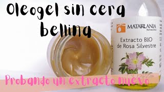 🌸OLEOGEL sin cera bellina con EXTRACTO DE ROSA SILVESTRE BIO de Matarrania 🌸 [upl. by Eblehs965]