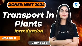 Transport in Plants  Introduction  Class 11  NEET 2024  Biology  Garima Goel [upl. by Ennaer]