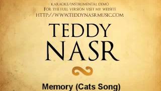 Instrumental  Karaoke  Memory  Cats Song  Teddy NASR [upl. by Player]