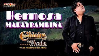 ♪ CHINITO Del Ande  Hermosa Maraybambina  Primicia 2023 HUAYNO Con Requinto Perú Oficial [upl. by Llennhoj]