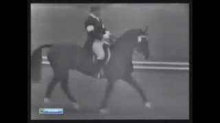 Olympic Games 1964  Dressage [upl. by Allicerp213]